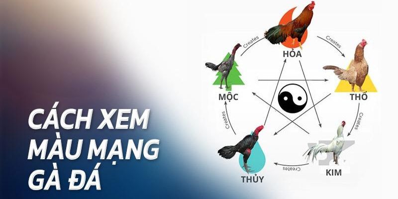 Giải mã mỗi màu trong vòng một nốt nhạc